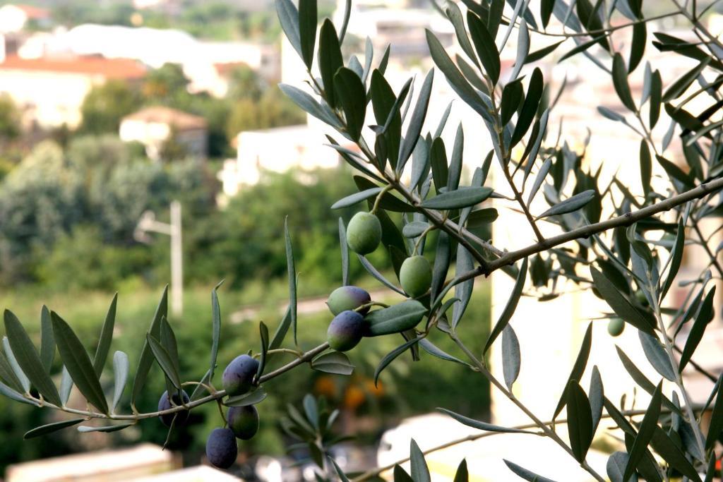 M Suites Sorrento Exterior foto